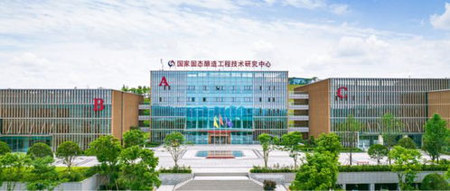 榮耀再出發(fā),瀘州老窖1952堅(jiān)守濃香自信,續(xù)寫中國名酒榮光