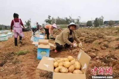 【觀點交鋒】竟有高校成立&ldquo;龍蝦學院&rdquo;!網(wǎng)友:我能一口氣念到博士后